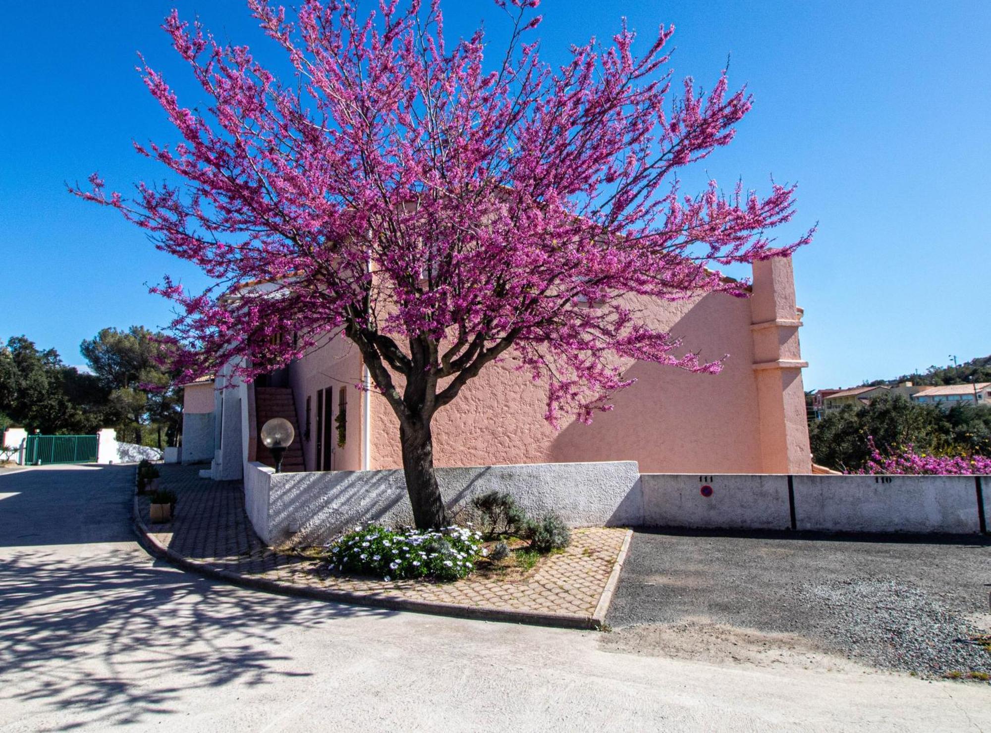 Familiales Dans Avec Piscine Parque de Campismo Fréjus